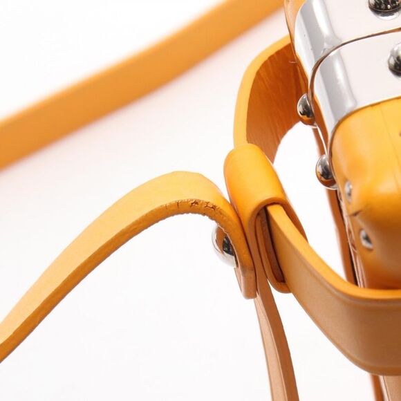 Goyard Minodière Trunk Shoulder Bag PVC Leather - Picture 7 of 7